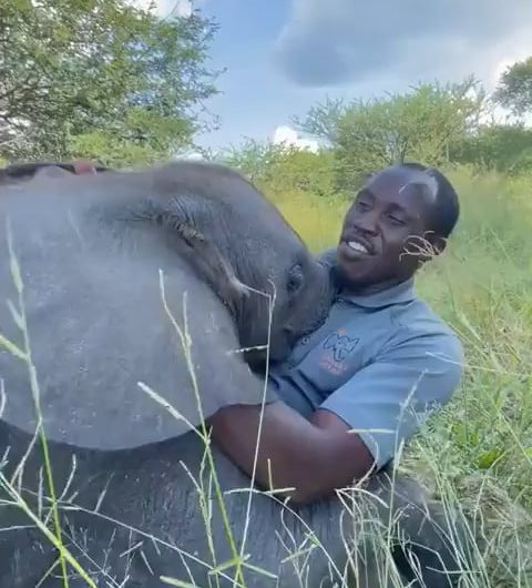 They didn’t mention this on career day