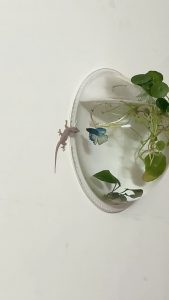 They discovered each other in the room.