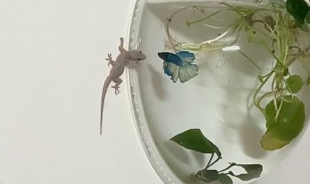 They discovered each other in the room.