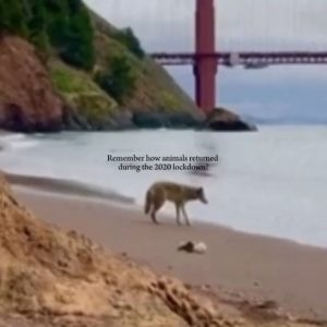 They probably thought they got their home back