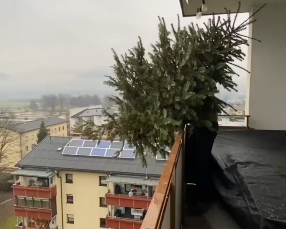 This Christmas tree landed perfectly upright