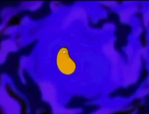 This Simpsons intro showing all of Homer’s biological evolution in under one minute