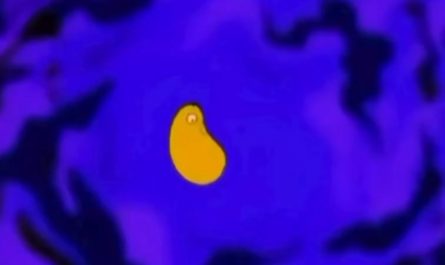 This Simpsons intro showing all of Homer’s biological evolution in under one minute