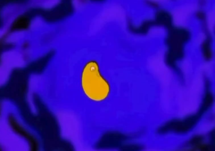 This Simpsons intro showing all of Homer’s biological evolution in under one minute