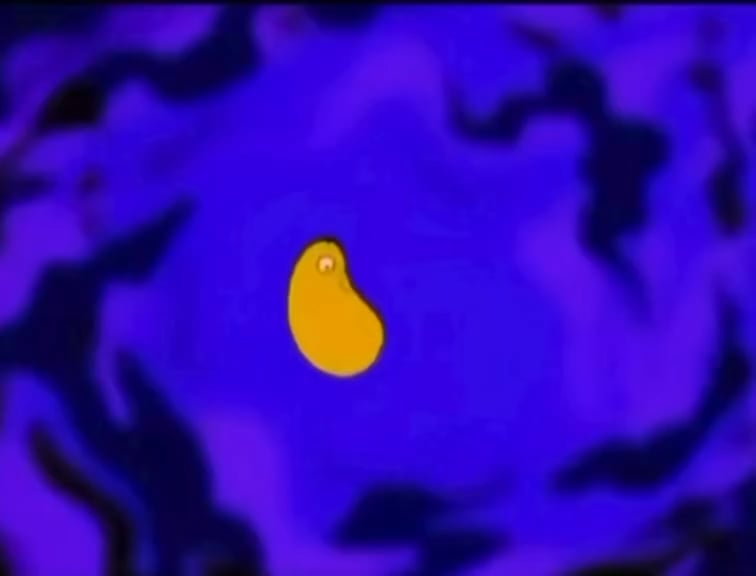 This Simpsons intro showing all of Homer’s biological evolution in under one minute