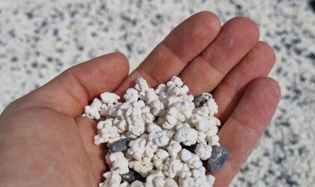 This beach in Fuerteventura is covered in tiny white stones that look exactly like popcorn