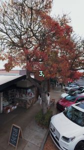 This drone pilot flew perfectly into a $2.5 million dollar sushi restaurant.