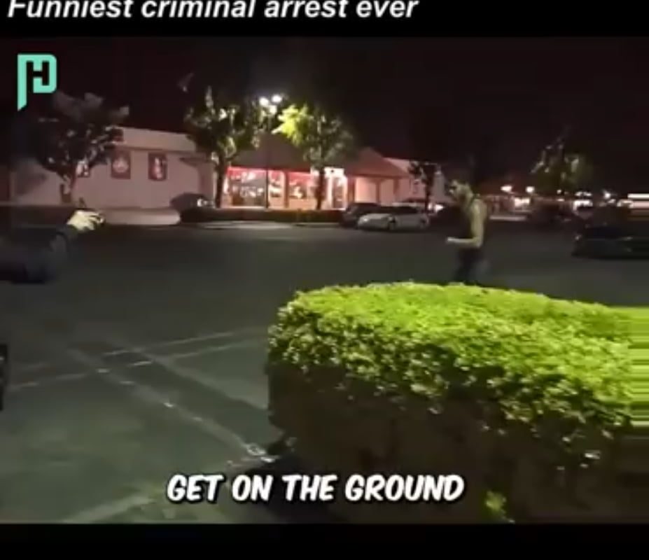 This guy's failed attempt of rizzing up a cop, while being arrested