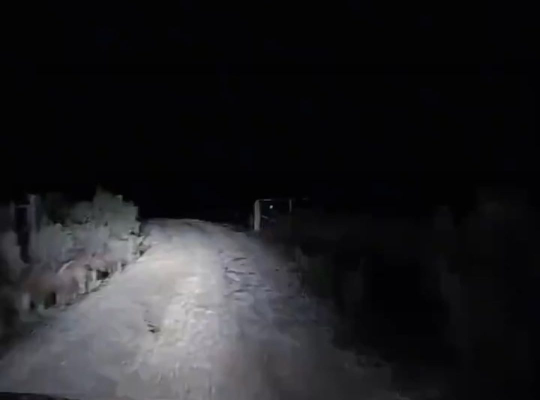 This is how you make friends in Australia 🙂