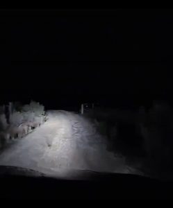 This is how you make friends in Australia 🙂