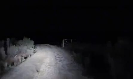 This is how you make friends in Australia 🙂