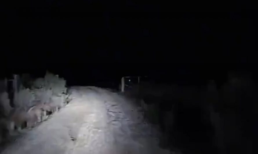 This is how you make friends in Australia 🙂