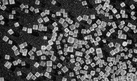 This is microscopic photo of salt