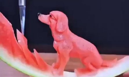 This is some next level cutting