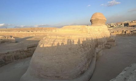 This is what the back of the Great Sphinx looks like.