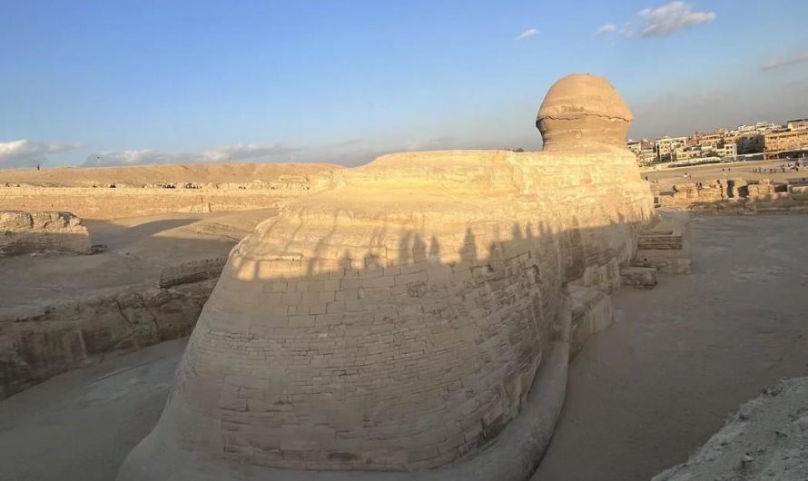 This is what the back of the Great Sphinx looks like.