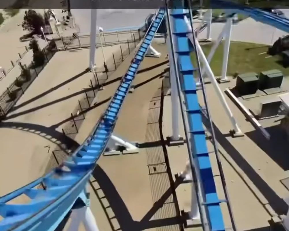 This man gets a seagull right to the face while riding this roller coaster.