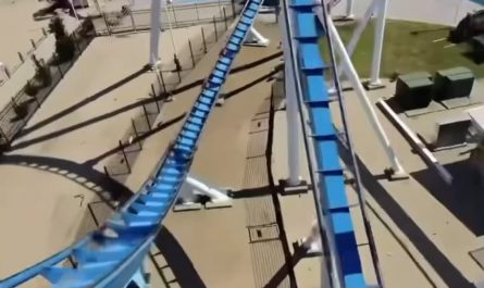 This man gets a seagull right to the face while riding this roller coaster.