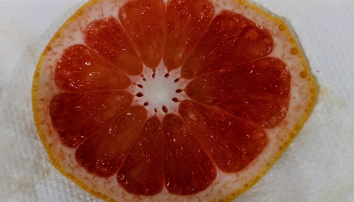 This slice of grapefruit
