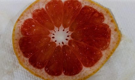 This slice of grapefruit