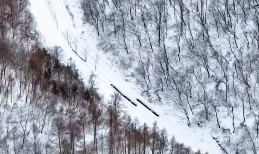 This snowtubing train