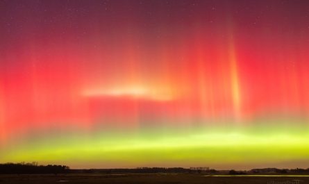 Time-Lapse of Extreme Northern Lights in North Germany Last Night (2026-01-19/20) [OC]