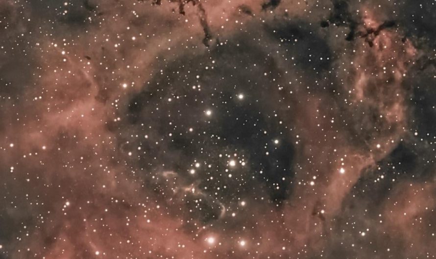 Tonights Capture Is Of The “Rosette Nebula”, A Stellar Nursery With Stars That Emit So Much Radiation That They Illuminate The Glowing Dust Surrounding Them.