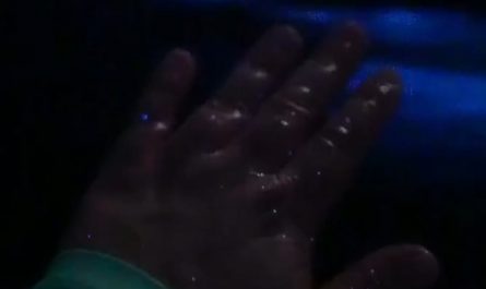 Touching a bioluminescent ocean