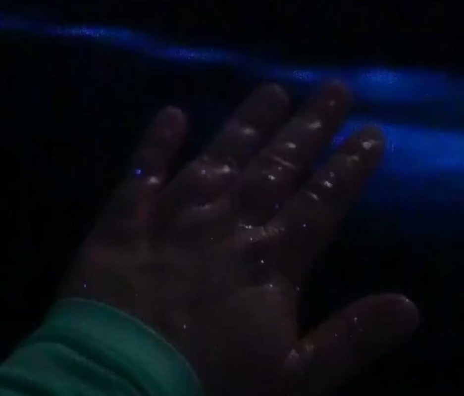 Touching a bioluminescent ocean