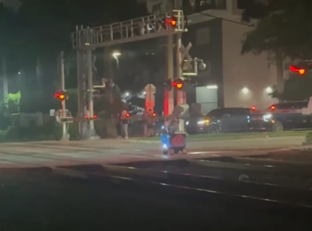 Train vs Food Delivery Robot