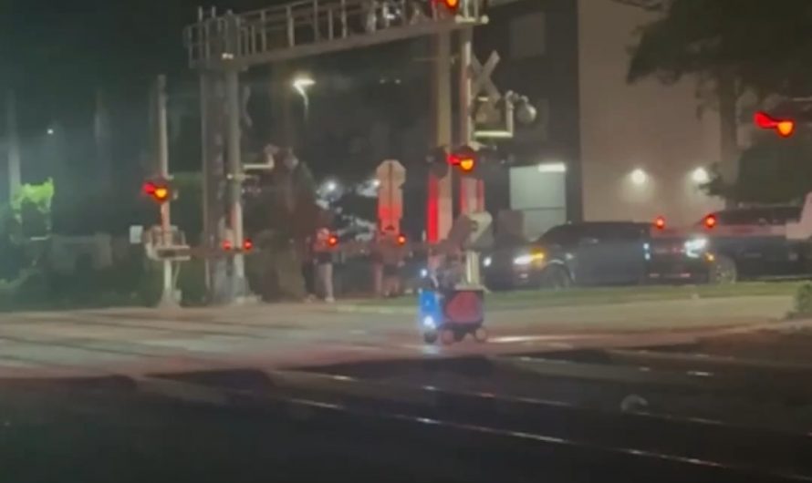 Train vs Food Delivery Robot