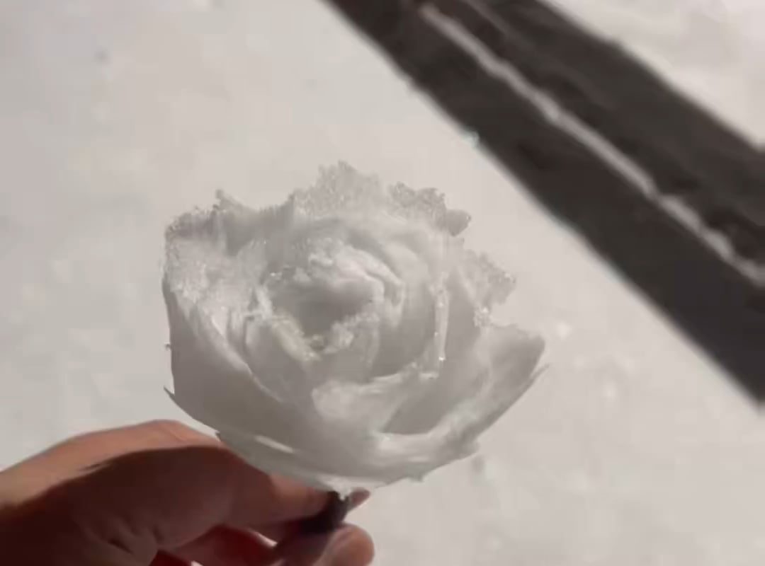 Turning snow into roses by hand