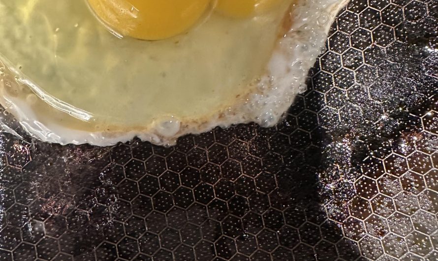 Twin yolk aka bonus food in my belly