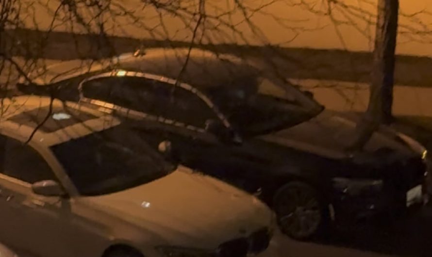 Two cars with their alarm thingies perfectly synchronized.