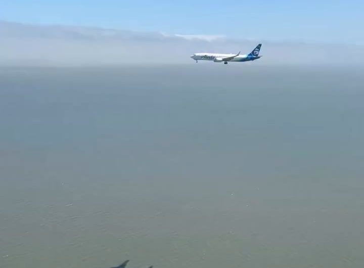 Two planes landing simultaneously on parallel runways at the same airport — perfectly timed.