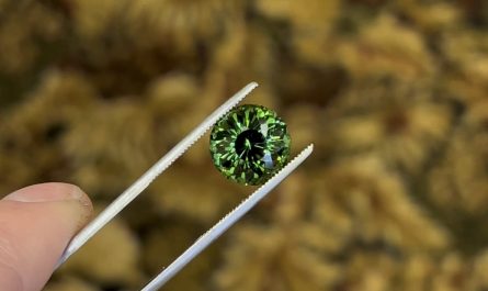 Very Detailed Tourmaline I Cut