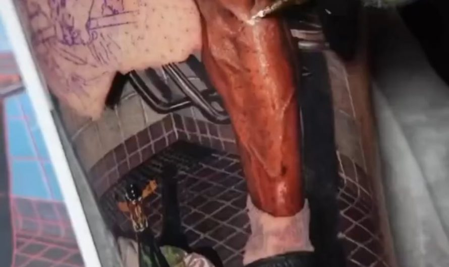 Victoria Lee is a tattoo artist renowned for her expertise in color and black & grey realism, drawing inspiration from the intricate interplay of light and shadow in realistic art. 🖼