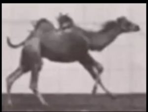 Video from 1879