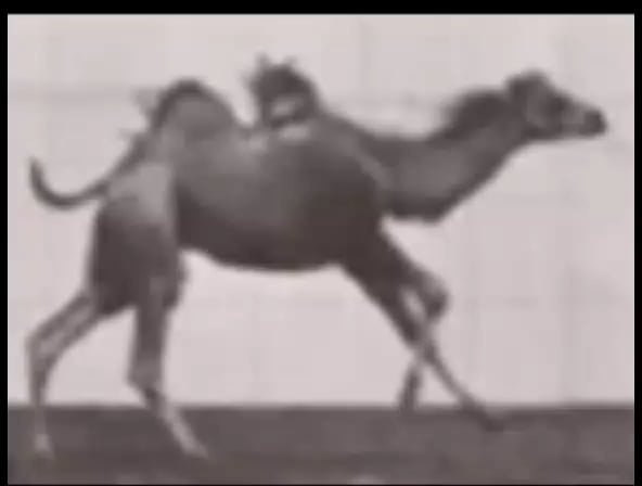 Video from 1879