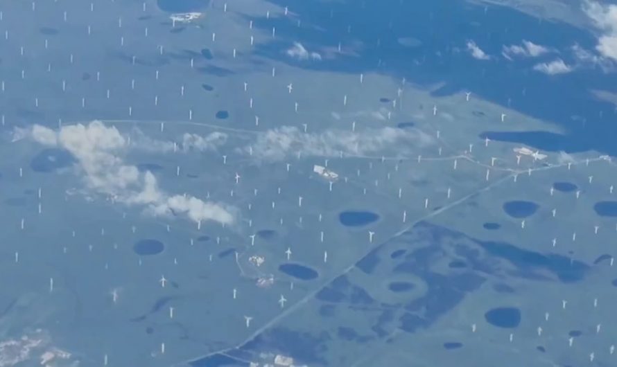 View of a wind power farm from a flight