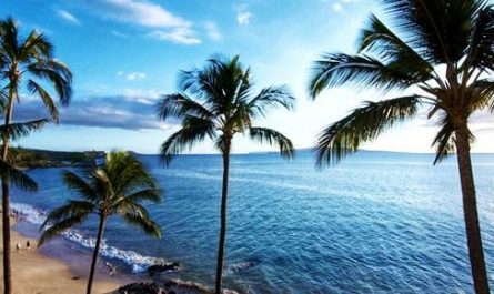 Visitors Donated Millions To Maui. Where Did It Go?