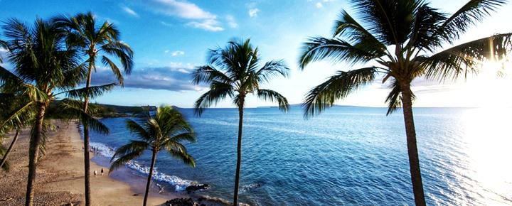 Visitors Donated Millions To Maui. Where Did It Go?