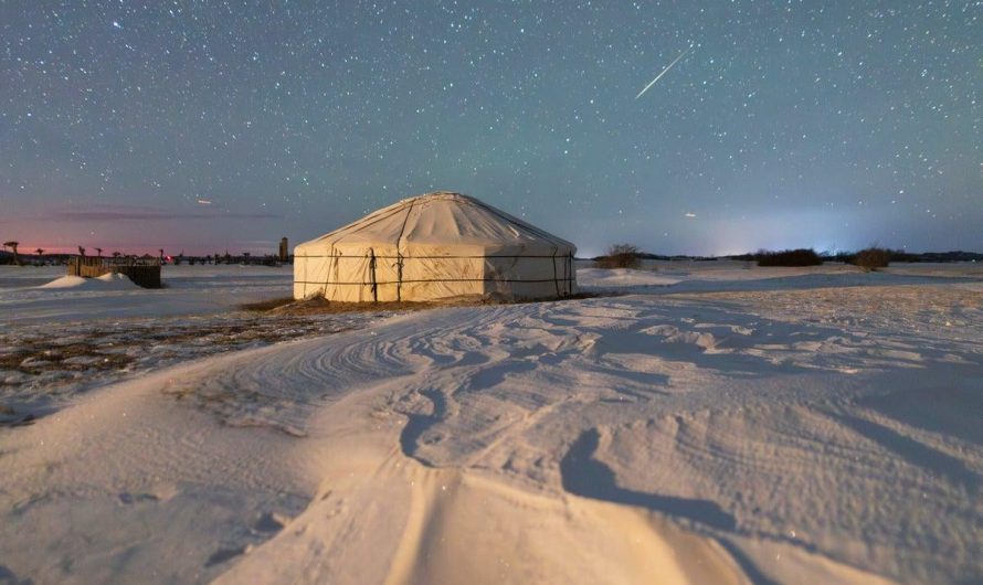 Watch the First Meteor Shower of 2026 Light Up the Sky This Weekend