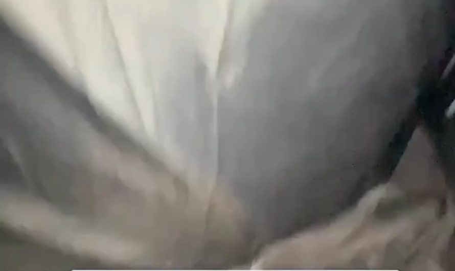 What do you even realistically do in this situation💀