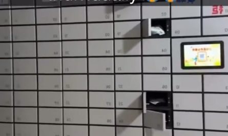 What happens when you order legos individually…