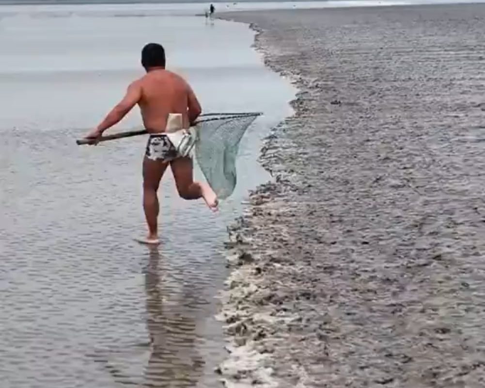 What optical illusion is this 😵‍💫