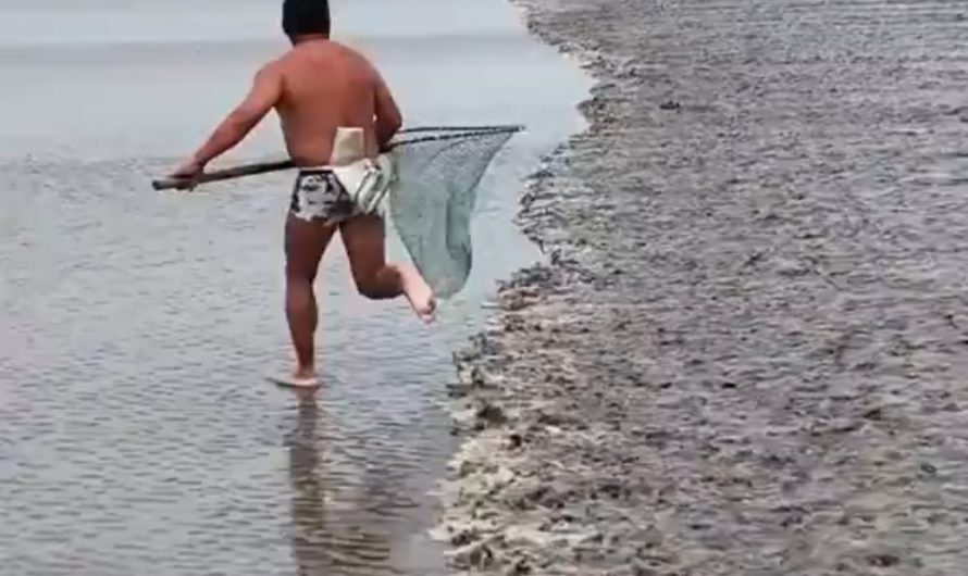 What optical illusion is this 😵‍💫