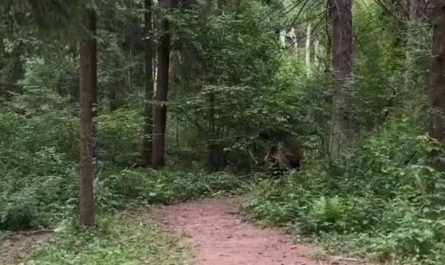 What the hell am i watching...