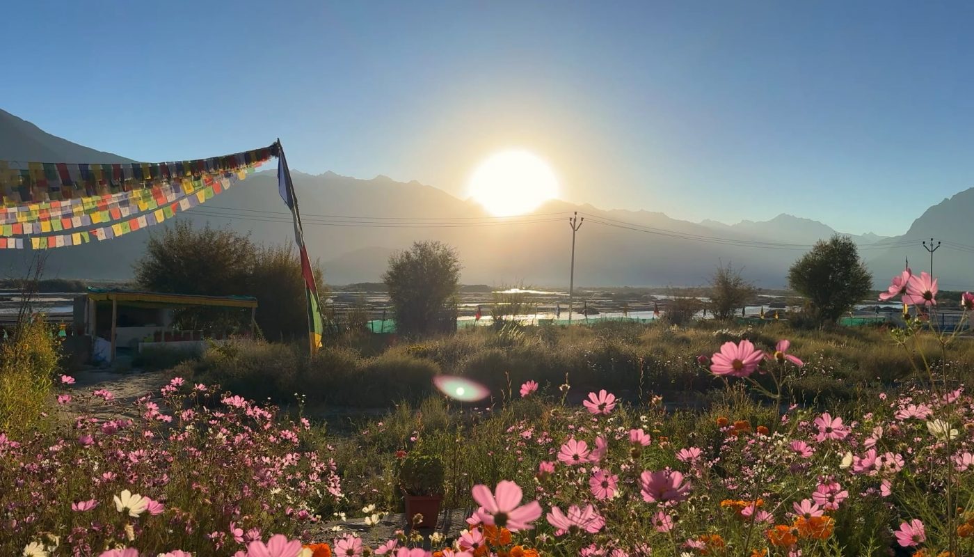 When reality looks like good graphics