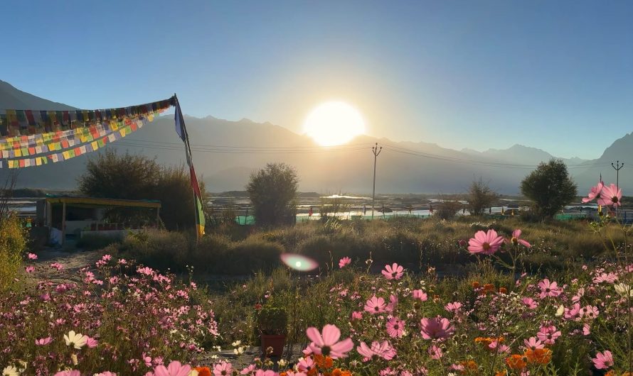 When reality looks like good graphics